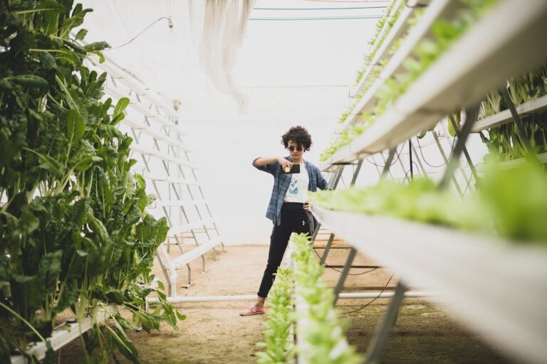 The future of hydroponic farming and its potential for meeting the growing demand for food in a rapidly urbanizing world.