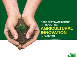 The role of private sector partnerships in promoting agricultural innovation and growth in Pakistan.