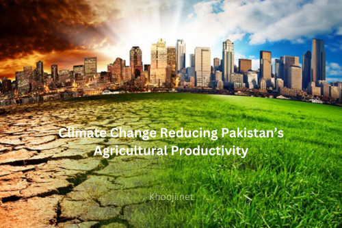The Impact of climate change on agricultural productivity in Pakistan