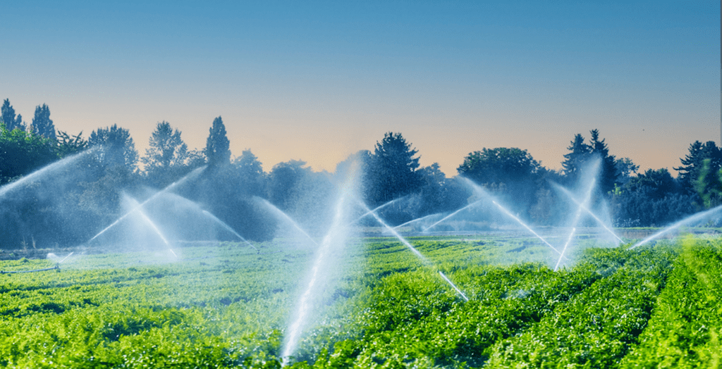 irrigation systems & crop yields 