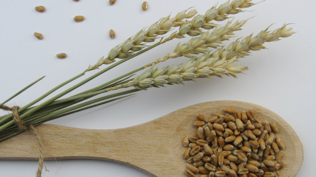 Whole grains rich in fiber, vitamins, and minerals