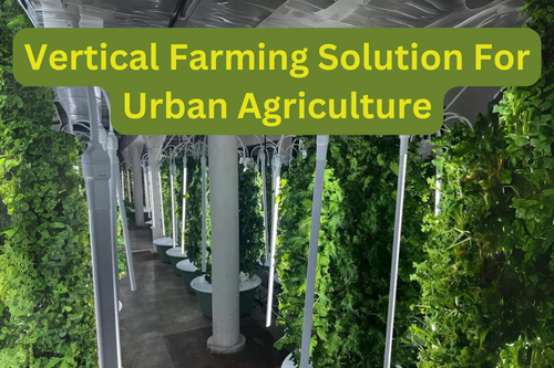 Vertical farming: a potential solution for urban agriculture in Pakistan