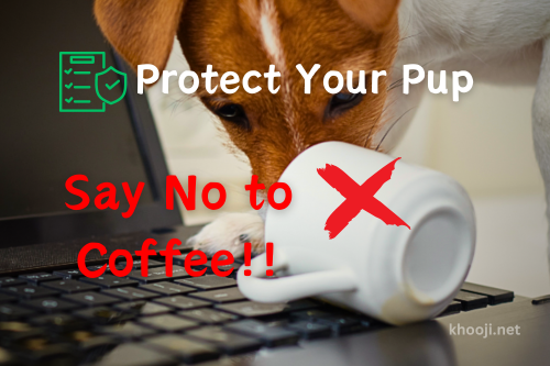 Is Coffee Safe for Your Dog? Understanding the Risks of Caffeine Poisoning