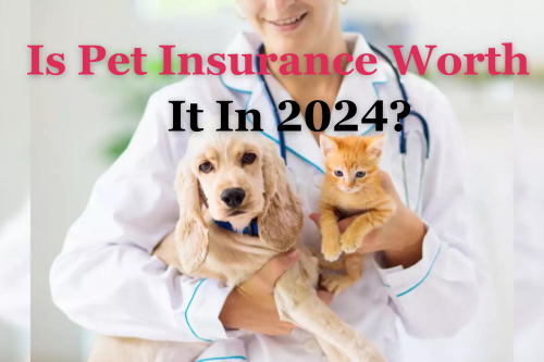 Is Pet Insurance Worth It In 2024?